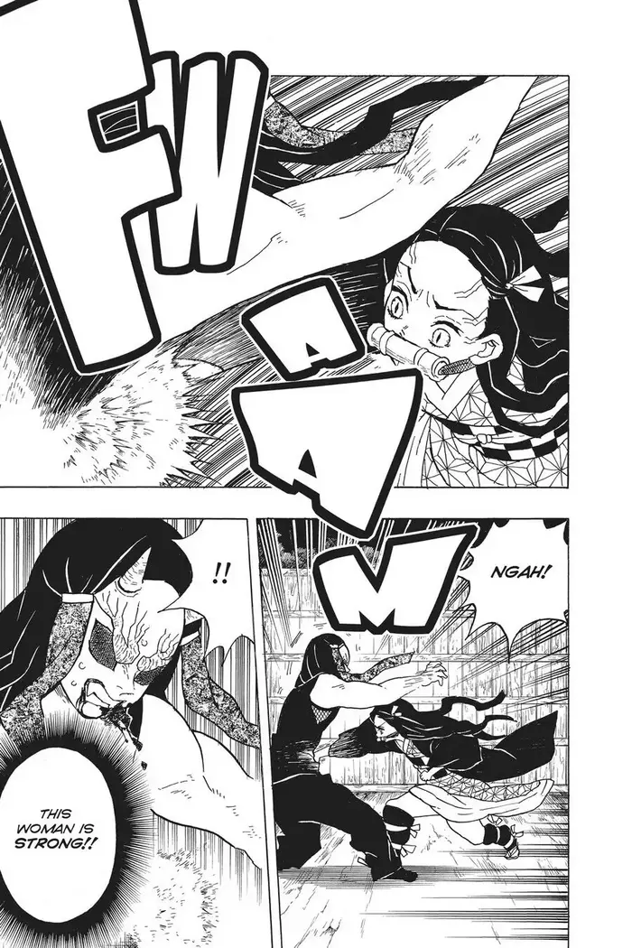 Demon Slayer Chapter 12 image 13_optimized